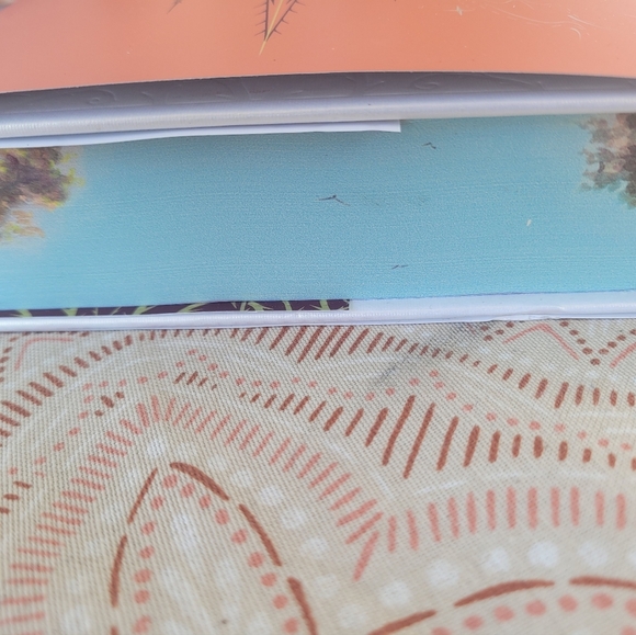 Brand New Special Edition Thorn Season Hardcover Book With Painted Edges - Picture 7 of 10